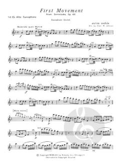 First Movement from Serenade, Op. 44 von Antonín Dvořák 