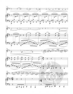 Danse macabre op. 40 von Camille Saint-Saëns 