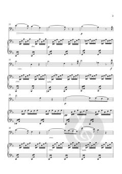 Ave Maria von Johann Sebastian Bach 