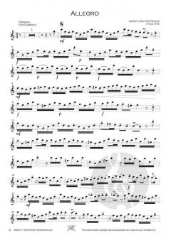 Allegro von Joseph-Hector Fiocco 