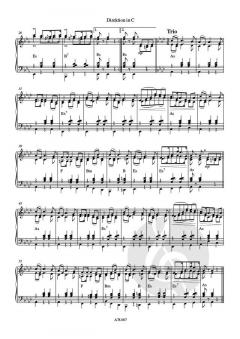 Mazurka aus Regensburg von Tanngrindler Musikanten 
