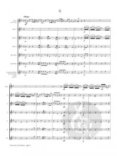 Concerto in G Minor von Georg Friedrich Händel 