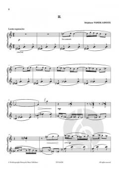 SonaTina von Stephane Vande Ginste 