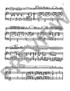 Le Streghe - Hexentänze op. 8 von Niccolò Paganini 