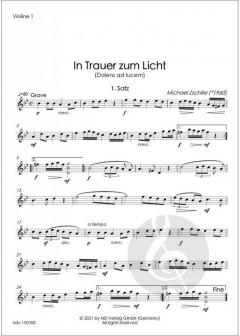 In Trauer zum Licht von Michael Zschille 