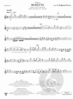 Tribute to Roxette 