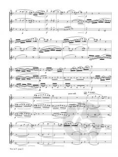 Trio in F op. 32 von Gaspard Kummer 