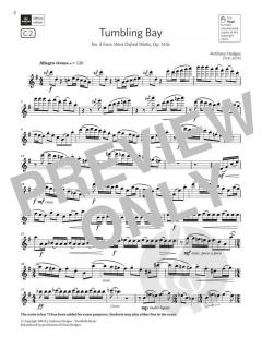 Tumbling Bay von Anthony Hedges (Download) 