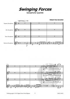 Swinging Forces von Robert Van Aerschot 