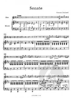 Sonate für Flöte und Klavier von Gaetano Donizetti im Alle Noten Shop kaufen