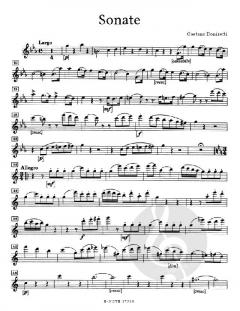 Sonate für Flöte und Klavier von Gaetano Donizetti im Alle Noten Shop kaufen