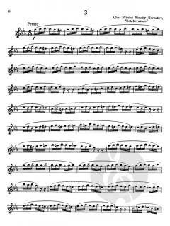 Advanced Studies For Clarinet von Victor Polatschek 