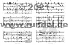 Die Isel von Gerald Ranacher 