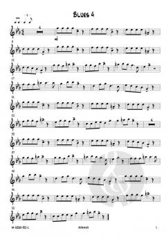12 mal Blues von Josef Schlotter 