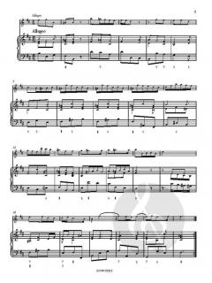 Sonata HWV 376 B minor von Georg Friedrich Händel 