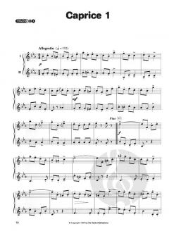 Irish Melodies for Flute von Joachim Johow 