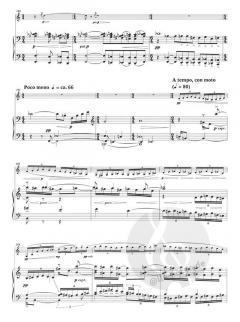 Wind Canticle von Stephen Albert 