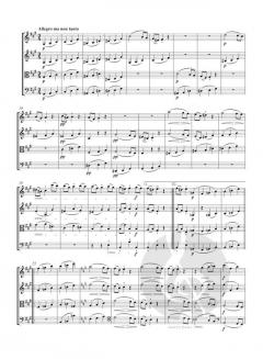 Streichquartett a-Moll op. 132 von Ludwig van Beethoven im Alle Noten Shop kaufen