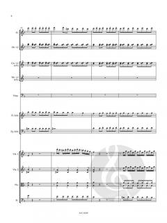 Konzert für Flöte, Fagott und Orchester (Partitur) 