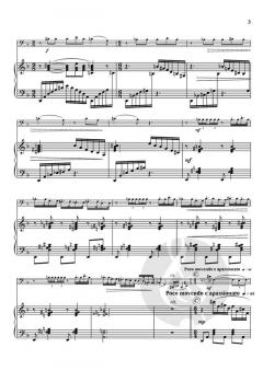 Sonata für Tuba und Klavier von Barbara York im Alle Noten Shop kaufen