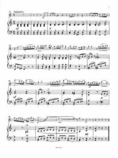 Stimmungsbilder op. 471 von Wilhelm Popp für Flöte und Klavier im Alle Noten Shop kaufen