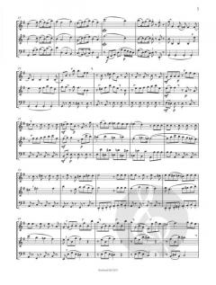 Divertimento 'Die Zauberflöte' von Wolfgang Amadeus Mozart 