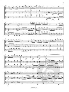 Divertimento 'Die Zauberflöte' von Wolfgang Amadeus Mozart 