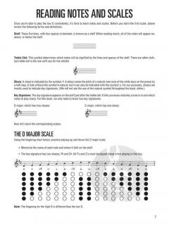 Hal Leonard Tin Whistle Method von Seán Gavin 