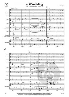 Ons eerste concert! von Nico Dezaire 