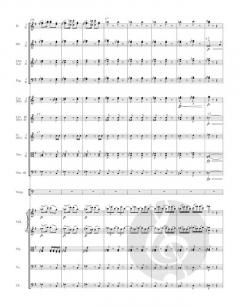 Symphonie Nr. 9 e-Moll op. 95 von Antonín Dvořák 