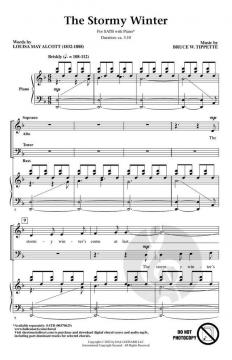 The Stormy Winter von Bruce W. Tippette (Download) 