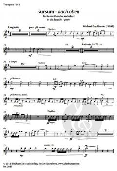 sursum - nach oben von Michael Erschbamer 
