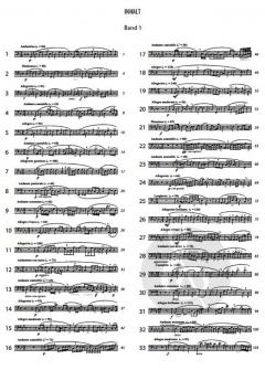Vocalisen (Klavierbegleitung) Band 1 von Marco Bordogni im Alle Noten Shop kaufen