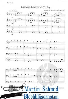 Ludwig's Lower Ode to Joy von Ludwig van Beethoven 