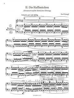 Aus baltischen Landen op. 24 von Karl Kämpf 