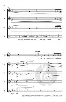 Wayfaring Stranger von Traditional Spirituals (Download) 