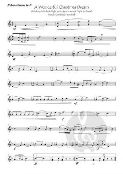 A wonderful Christmas Dream von Gottfried Hummel 
