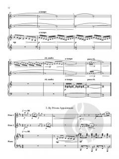 Have Flute, Will Travel von Gary Schocker 