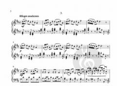 Little Sonata for Bonnie von Christa Steenhuyse-Vandevelde 
