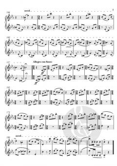 Gemini von Theodor Köhler (Download) 