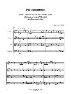 Thema und Variationen von Lothar Graap 