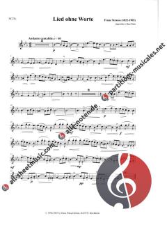 Lied ohne Worte von Franz Strauss 