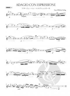 Selected Ferling Etudes von Franz Wilhelm Ferling 