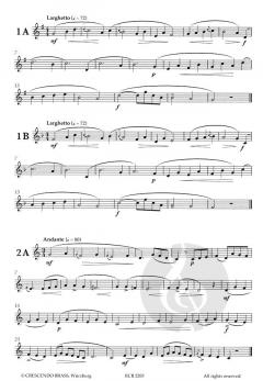 Zingarelli Studies for Trumpet im Alle Noten Shop kaufen