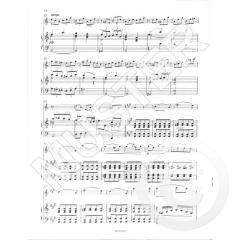 Sonate op. 24 