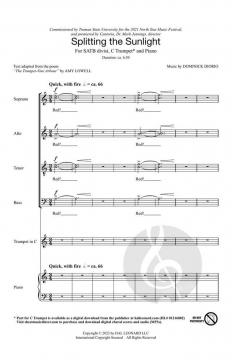 Splitting the Sunlight von Dominick DiOrio (Download) 