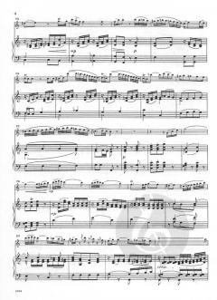 Andante in C-Dur & Rondo in D-Dur von Wolfgang Amadeus Mozart 