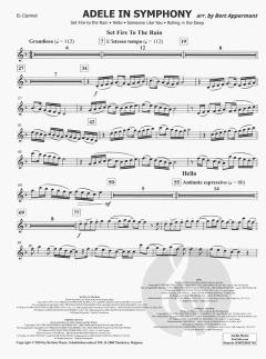 Adele in Symphony 