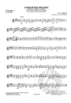 Le choeur des pretres (W.A. Mozart) 