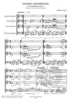 Sonora Crossroads von Roberto Laneri 